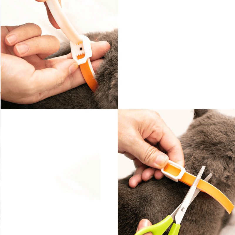 Dog Collar Eliminating Flea Pet Dog Cat anti Lice Plague Mosquito Insect Prevents Removing Oil Flea Repellent From - MRSLM