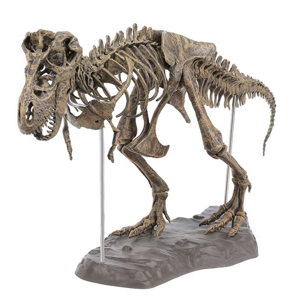 DIY Colour 70Cm T Rex Tyrannosaurus Rex Skeleton Dinosaur Animal Collector Model Decorations - MRSLM