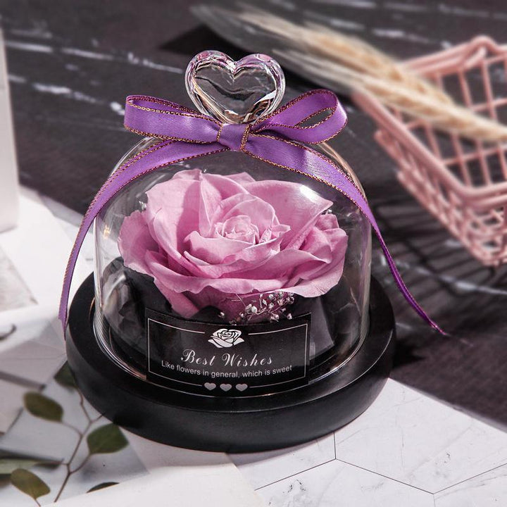 Dried Flowers The Beauty And Beast Eternal Real Rose Home Decor With LED in Glass - MRSLM