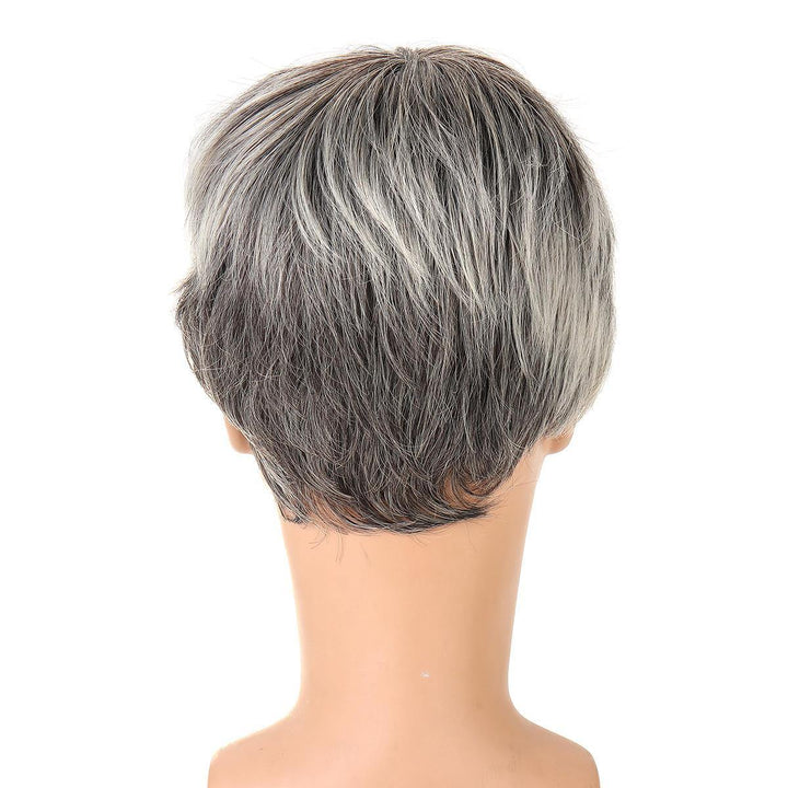 Middle And Old Age Men Short Straight Hair Cosplay High-temperature Fiber Wig - MRSLM