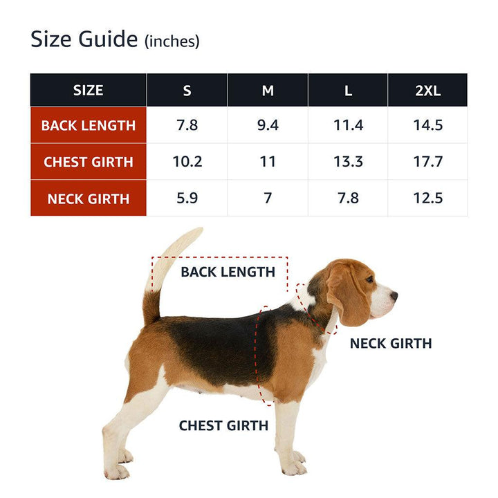Best Dog Ever Dog Sundress - Cute Dog Dress Shirt - Printed Dog Clothing - MRSLM