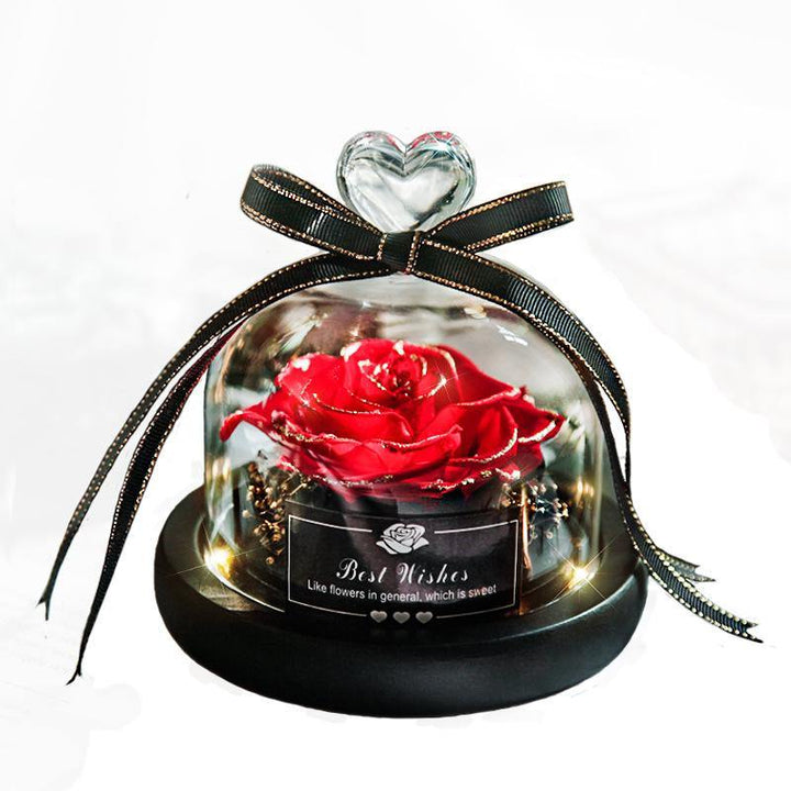 Dried Flowers The Beauty And Beast Eternal Real Rose Home Decor With LED in Glass - MRSLM
