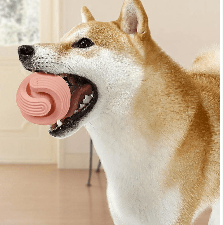 Rubber Dog Molars Teeth Relief Bouncy Ball - MRSLM