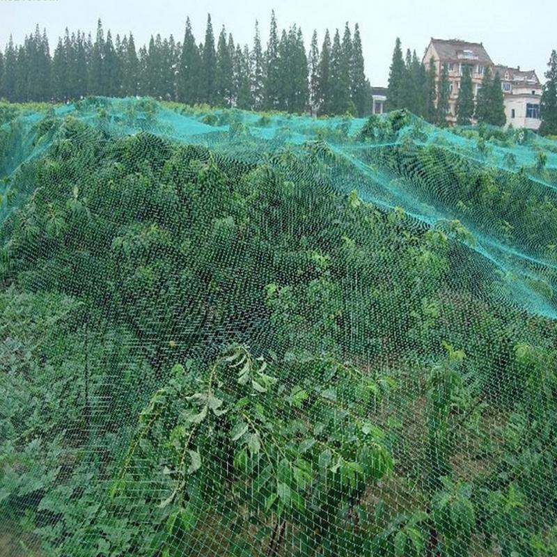 Gardening Anti Bird Net Protect Tree Net Fruit Crop Plants Pond Netting Mesh 2m x 10m - MRSLM