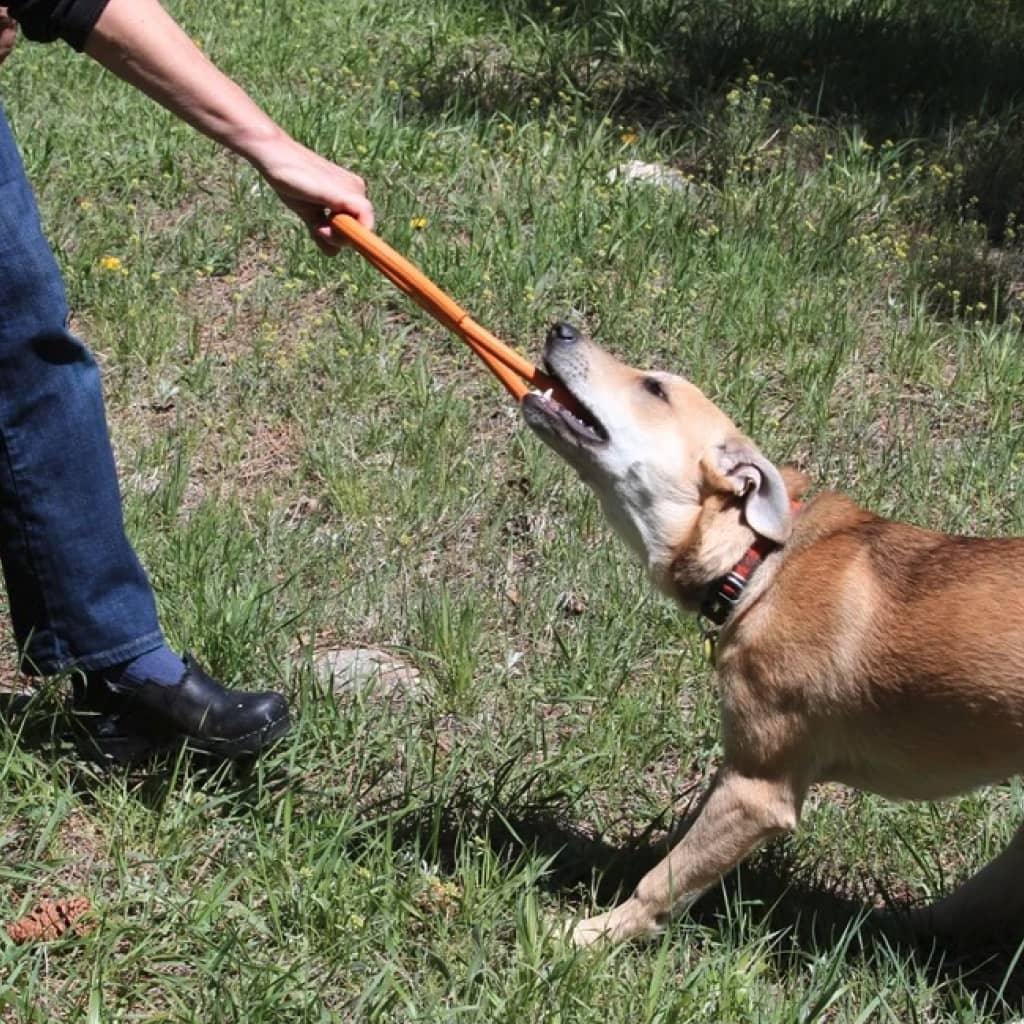 Tug O' War Toy - MRSLM