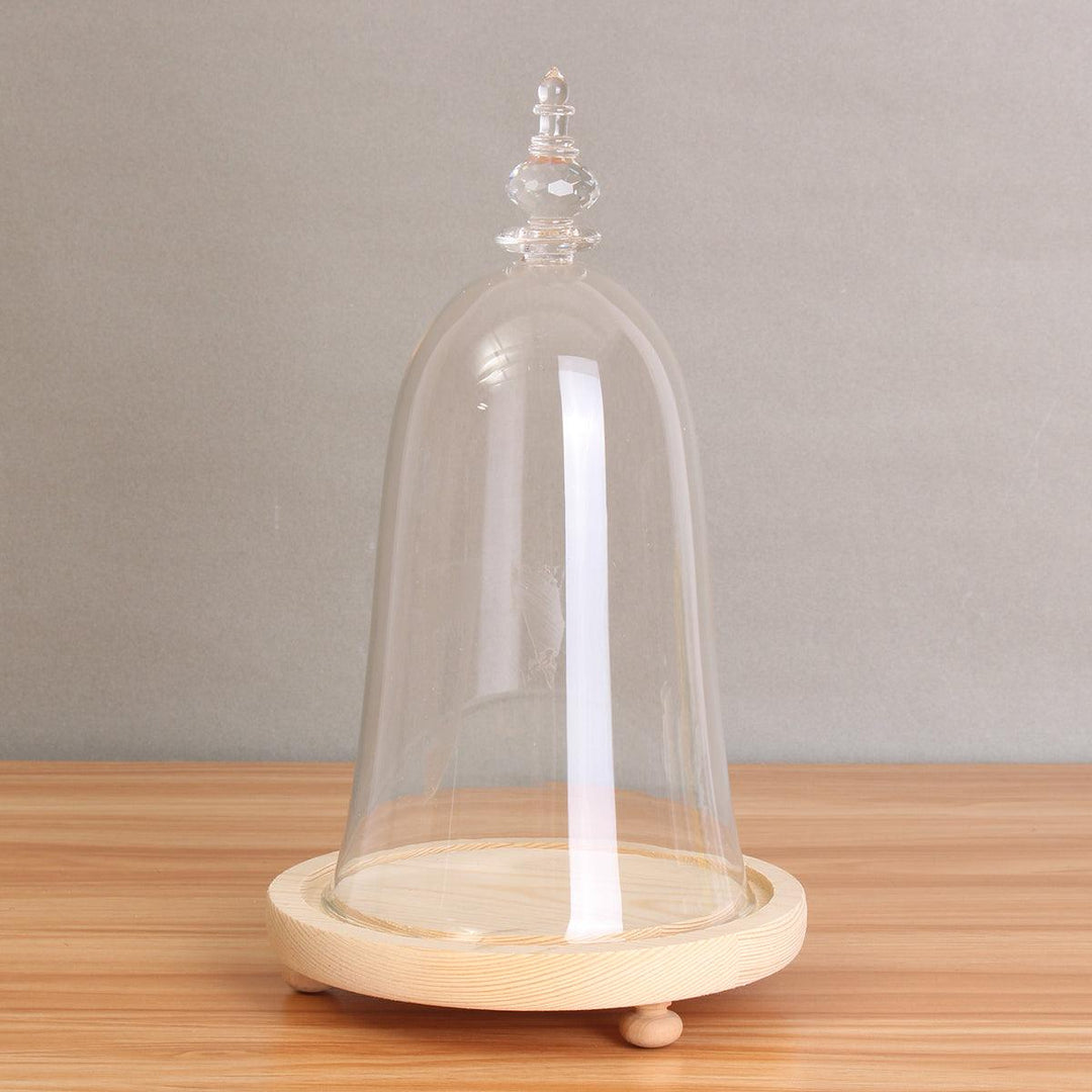Glass Display Dome Cloche Box with Wooden Base Inspired By Beauty and the Beast - MRSLM