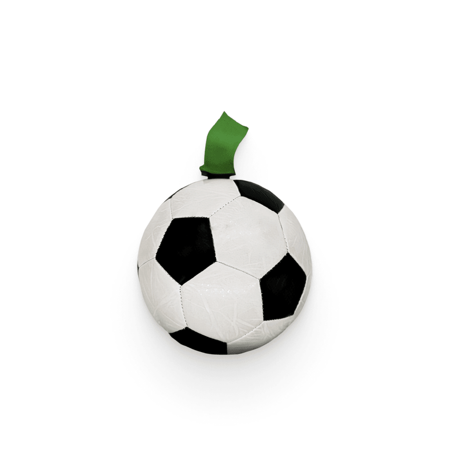 Dog Soccer Ball Toy - MRSLM