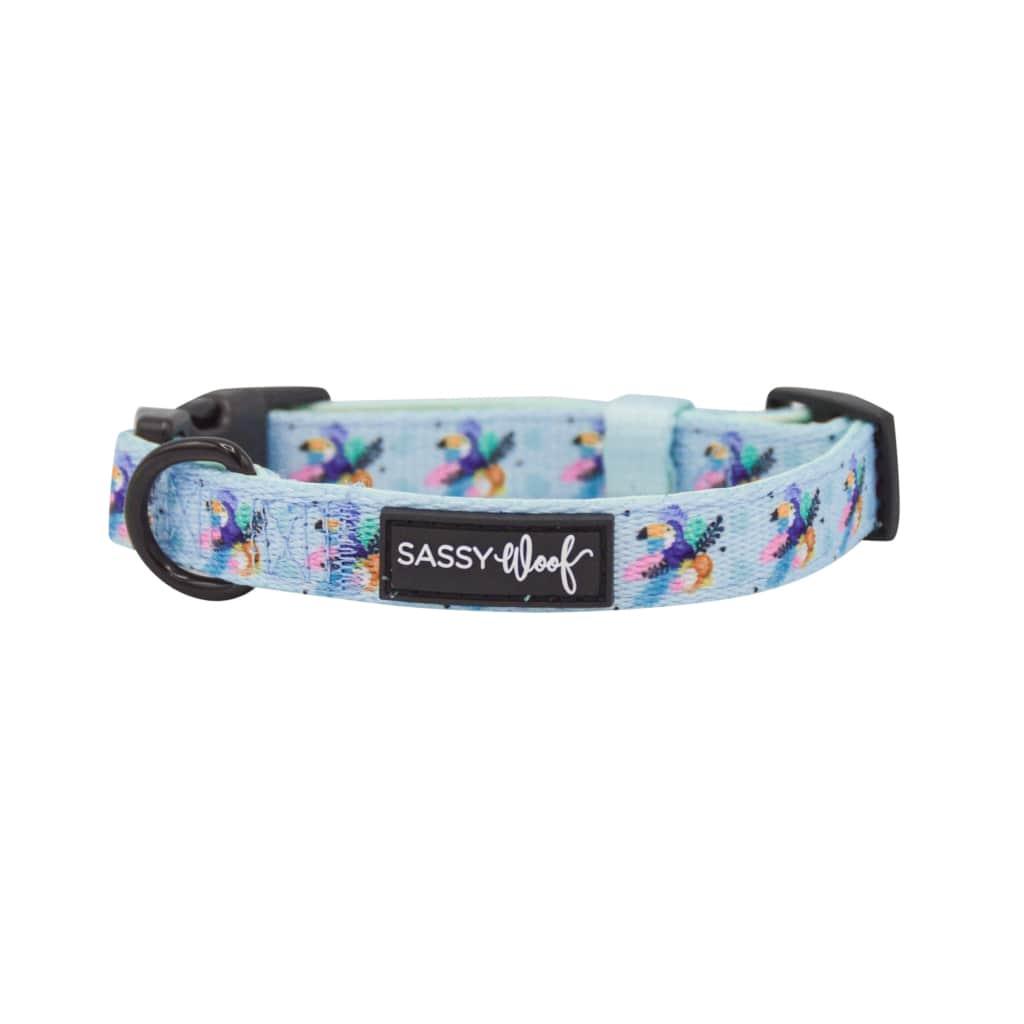Tropicana' Dog Collar - MRSLM