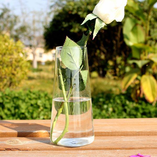 Cylinder Shaped Hydroponic Plants Glass Bottle Vase Home Garden Wedding Party Decoration - MRSLM