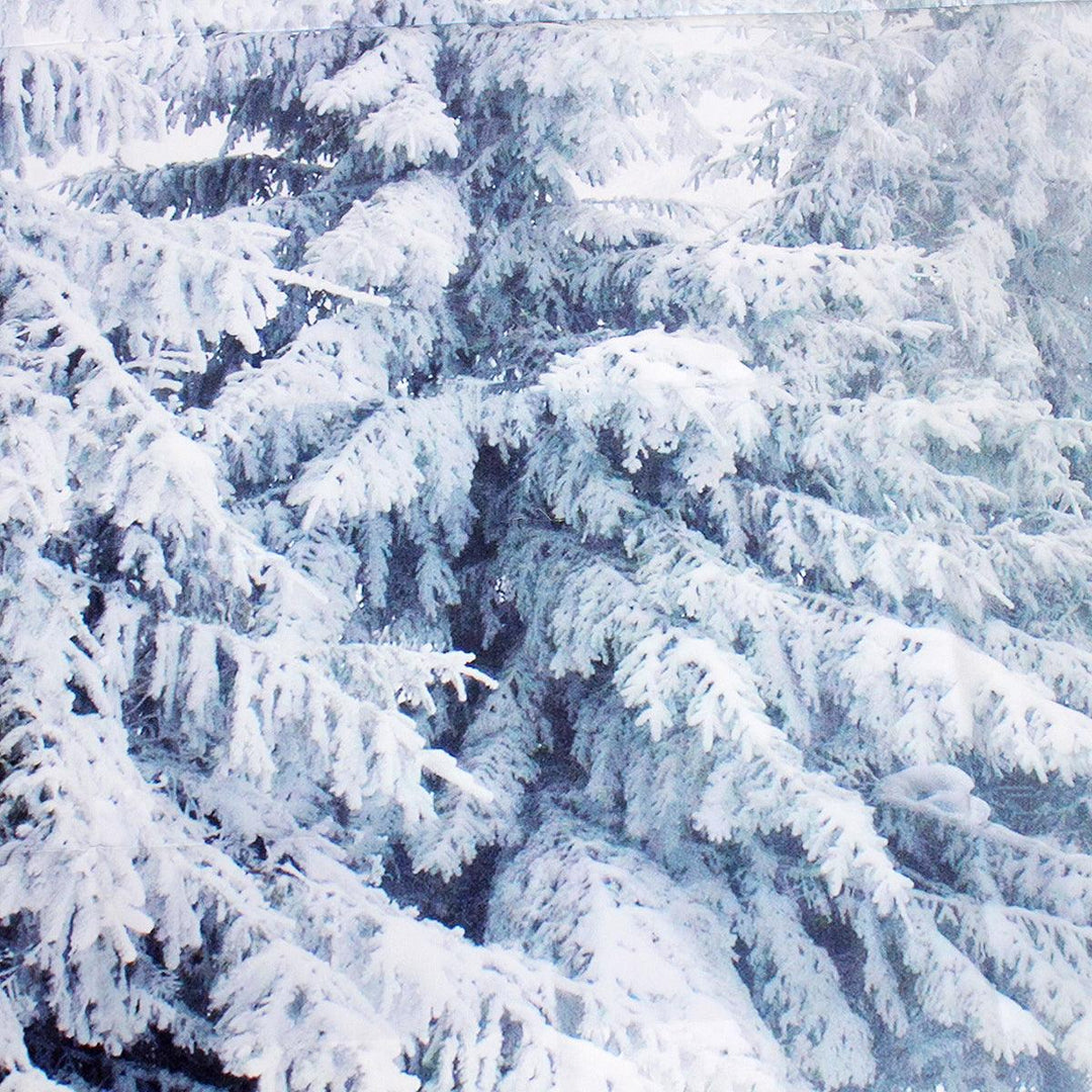 10x10FT Vinyl Winter Snow Lonely Forest Photography Backdrop Background Studio Prop - MRSLM