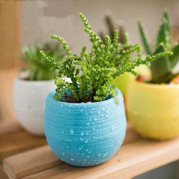 Honana HG-GP2 Colorful Cute Plant Flower Pot Mini Plastic Round Planter Garden Supplies - MRSLM