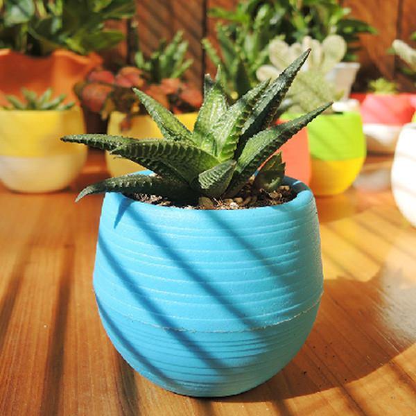 Honana HG-GP2 Colorful Cute Plant Flower Pot Mini Plastic Round Planter Garden Supplies - MRSLM