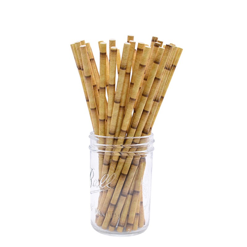 bamboo design paper straws, view 3 - MRSLM