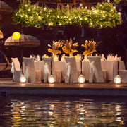 LED string lights with green leaves, view 6 - MRSLM