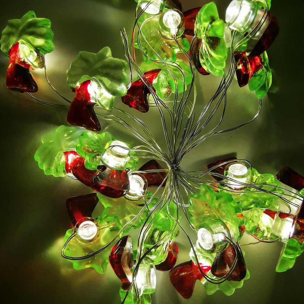 Exotic Style LED Fairy Lights