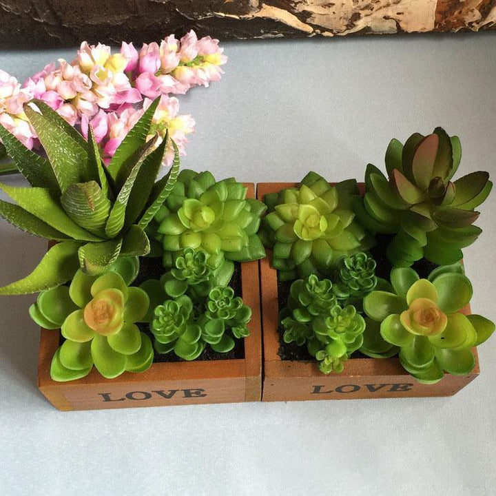LOVE Wooden Basin Desktop Lotus Succulent Plants Flower Pot Garden Bonsai - MRSLM