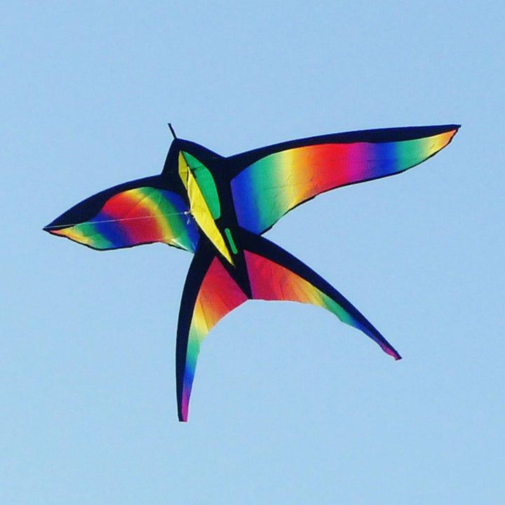 68in Swallow Kite Bird Kites Single Line Outdoor Fun Sports Toys Delta For Kids - MRSLM