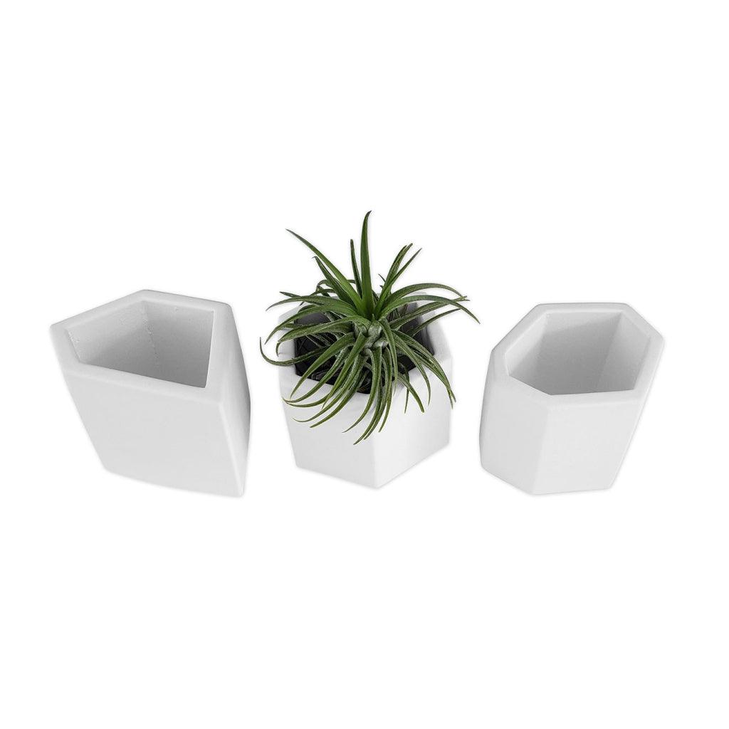 Gemstone Planter Trio - MRSLM