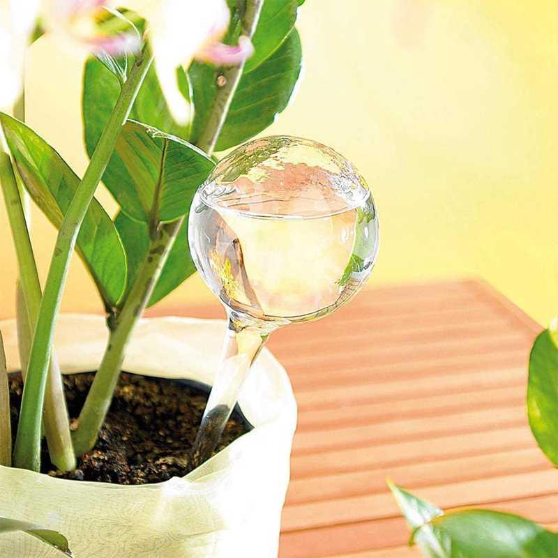 Plant Watering Bulbs - MRSLM