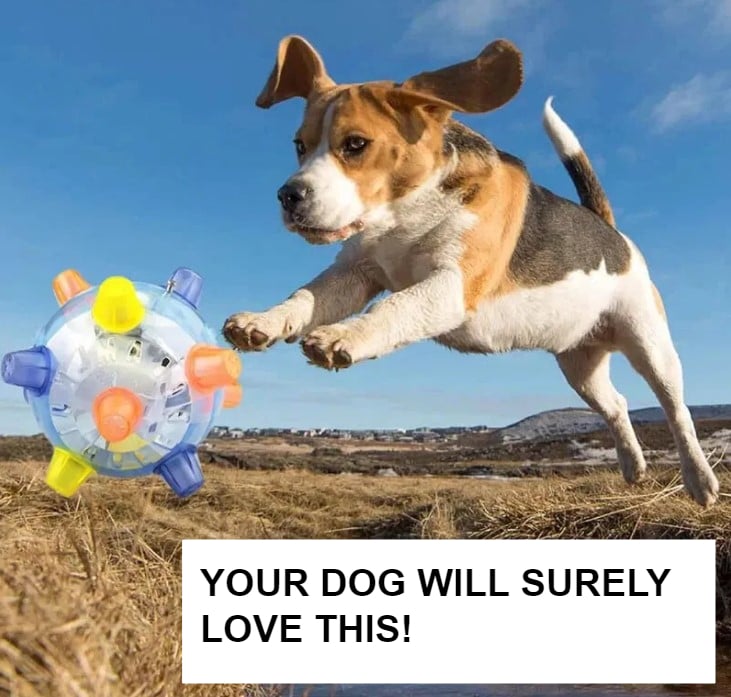 Active Jumping Ball For Dogs