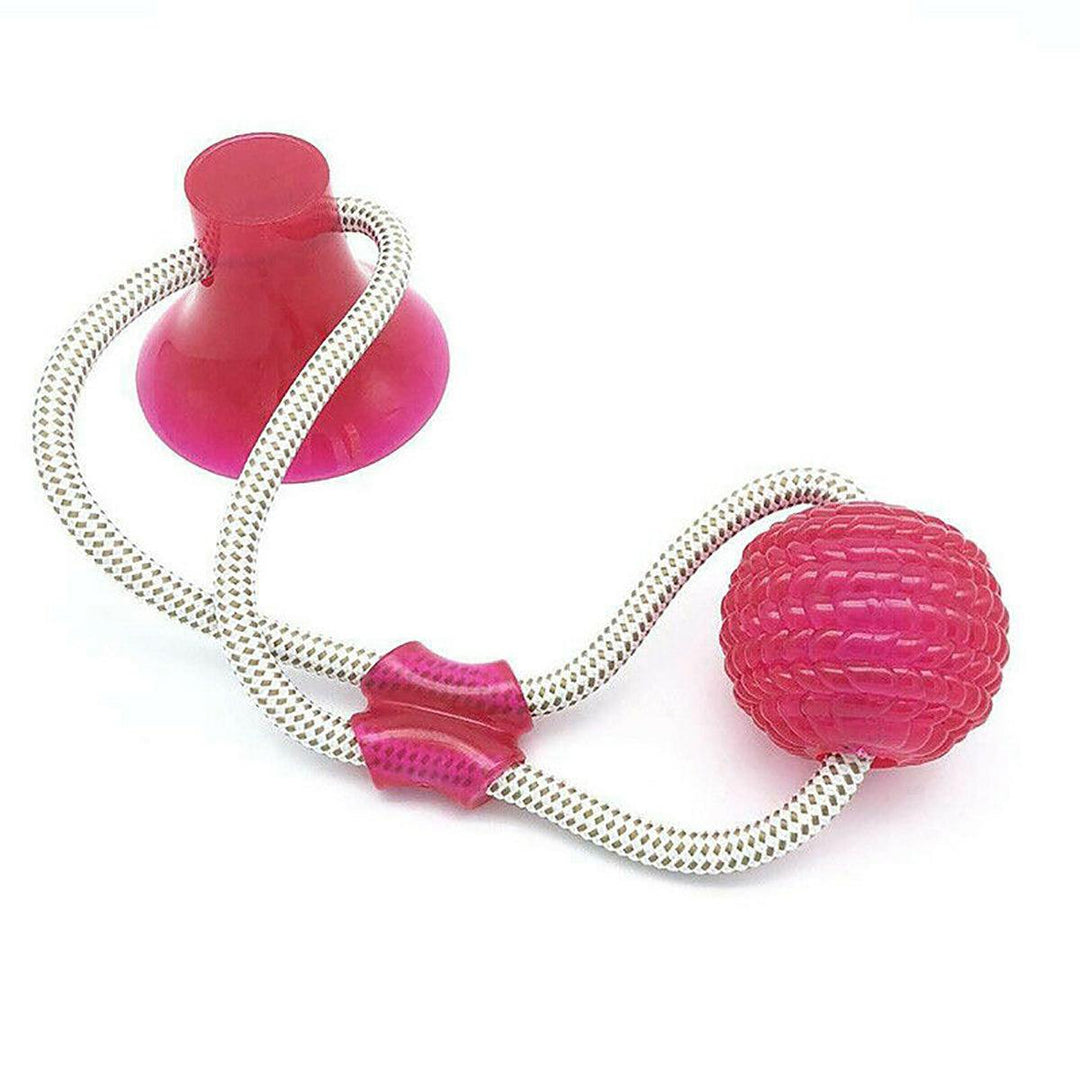 Multifunction Pet Molar Bite Toys + Suction Cup Dog/Cat Funny Cute Playing Ball (Red) - MRSLM