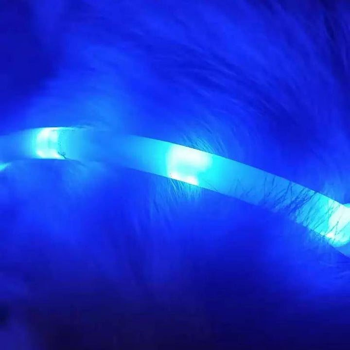 Pet Light Collar Anti-Lost Collar for Dogs Pet Collars (Blue) - MRSLM