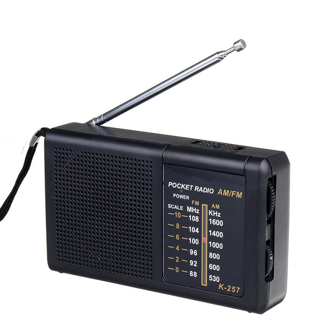 Mini Portable 2 Bands 88-108MHz FM 530-1600KHz AM Retro Radio - MRSLM