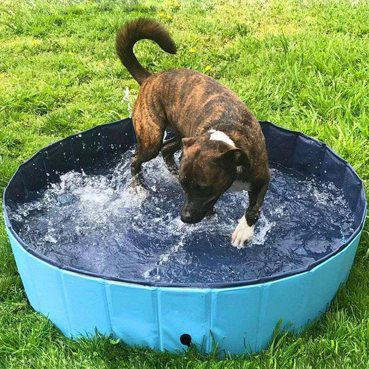 PVC Pet Pool Collapsible Dog Bath Tub Outdoor Portable Paddling Bath Cat Dog Cleaning Supplies - MRSLM