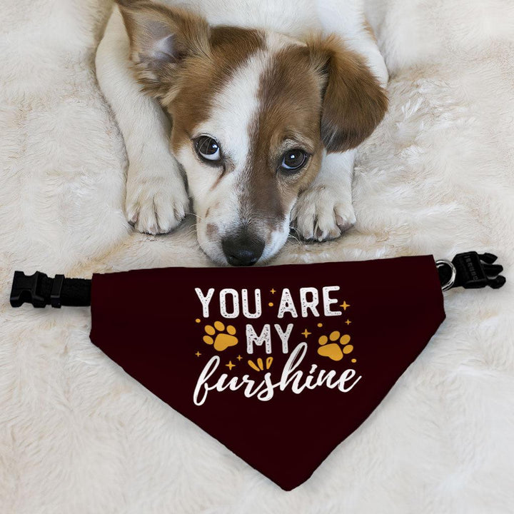 Cute Quote Pet Bandana Collar - Furshine Scarf Collar - Text Design Dog Bandana - MRSLM