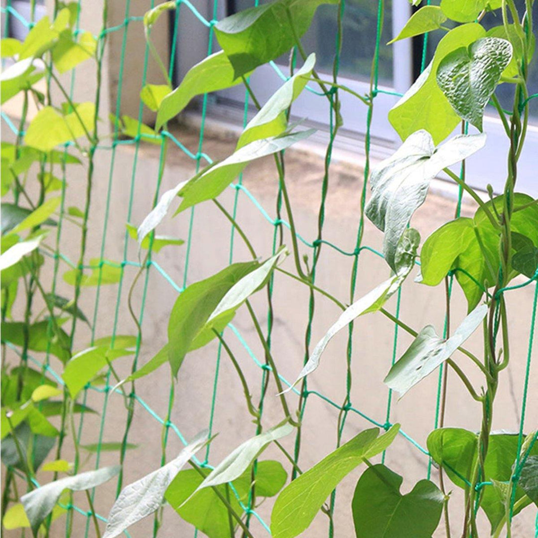 Plant Climbing Nets Vegetable Melon Fruit Gardening Growing Decoration for Flower Support Bag - MRSLM