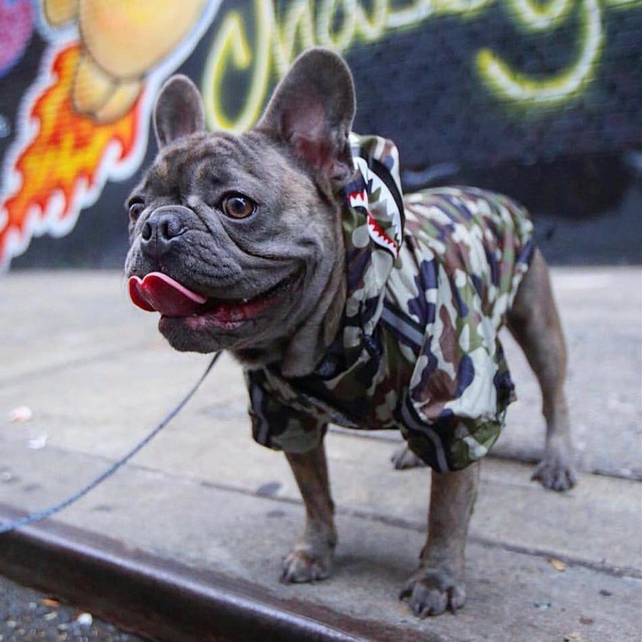 Dog Clothes Adidog Camouflage French Bulldog Pupreme Shirt Dog Camo Windbreaker - MRSLM