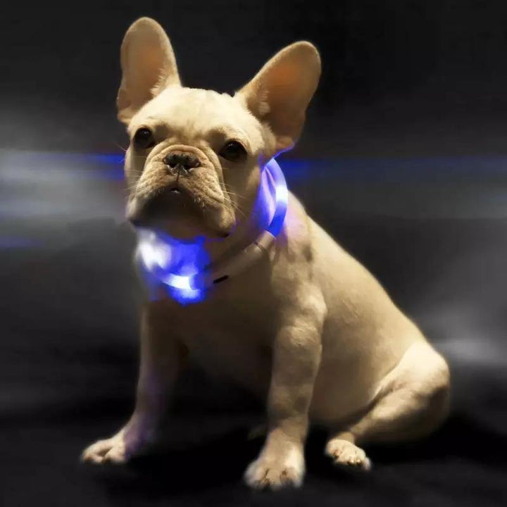 Pet Light Collar Anti-Lost Collar for Dogs Pet Collars (Blue) - MRSLM
