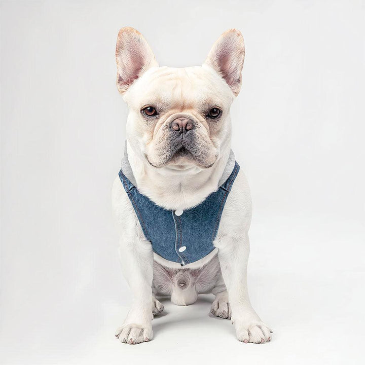 Not Friendly Don't Touch Dog Denim Jacket - Quote Dog Denim Coat - Graphic Dog Clothing - MRSLM
