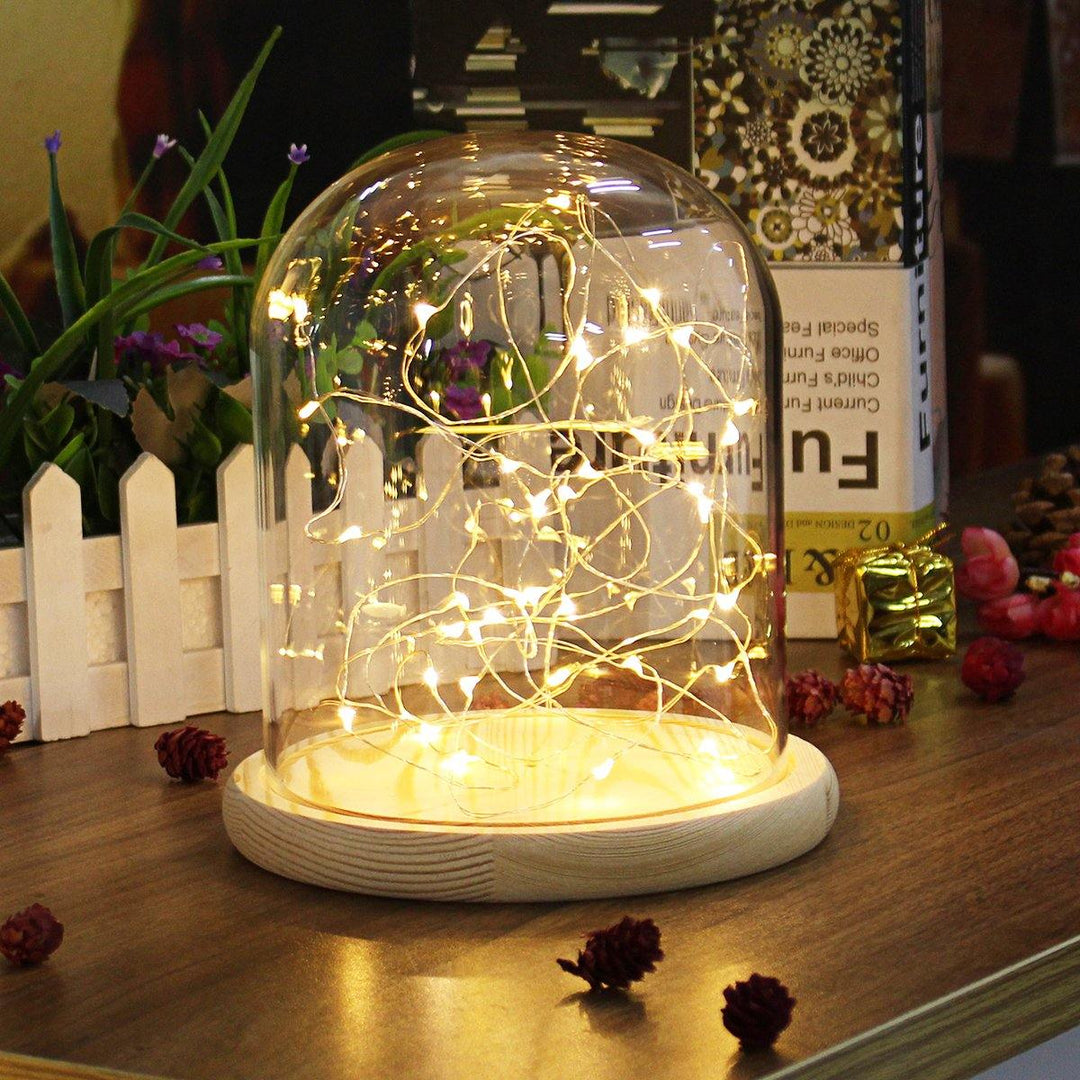 Clear Glass Display Dome Cloche Bell Jar Wooden Base DIY Decorations With 20 LED Fairy String Light (15*20cm) - MRSLM