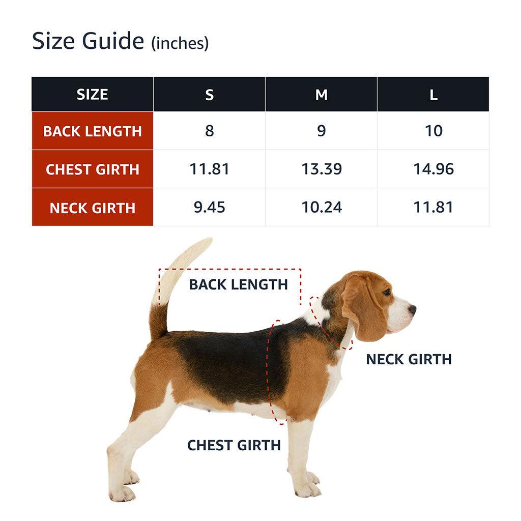 Not Friendly Don't Touch Dog Denim Vest - Quote Dog Denim Jacket - Graphic Dog Clothing - MRSLM