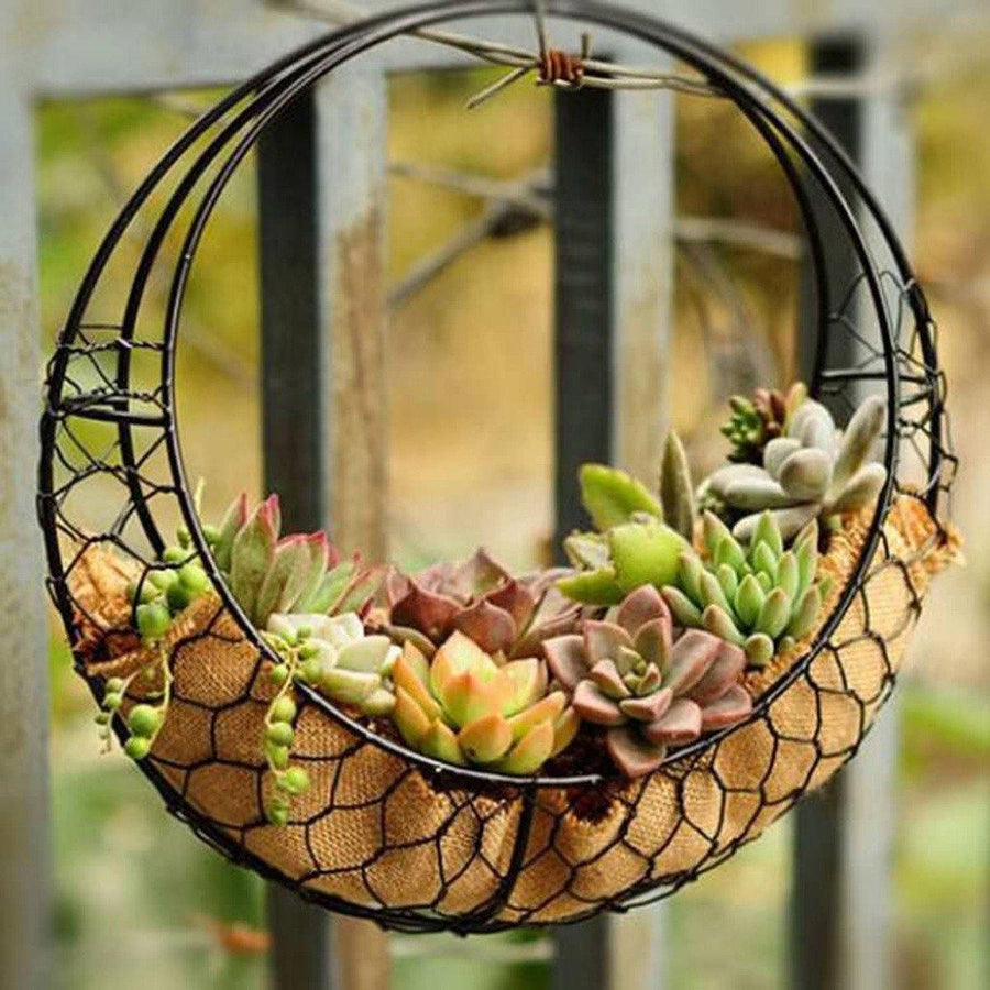 Hanging Flower Pot Iron Wall Succulent Planters Rustic Plant Holder Home Decorations - MRSLM