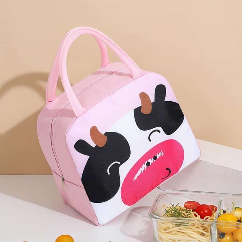 Colorful Lunch Box