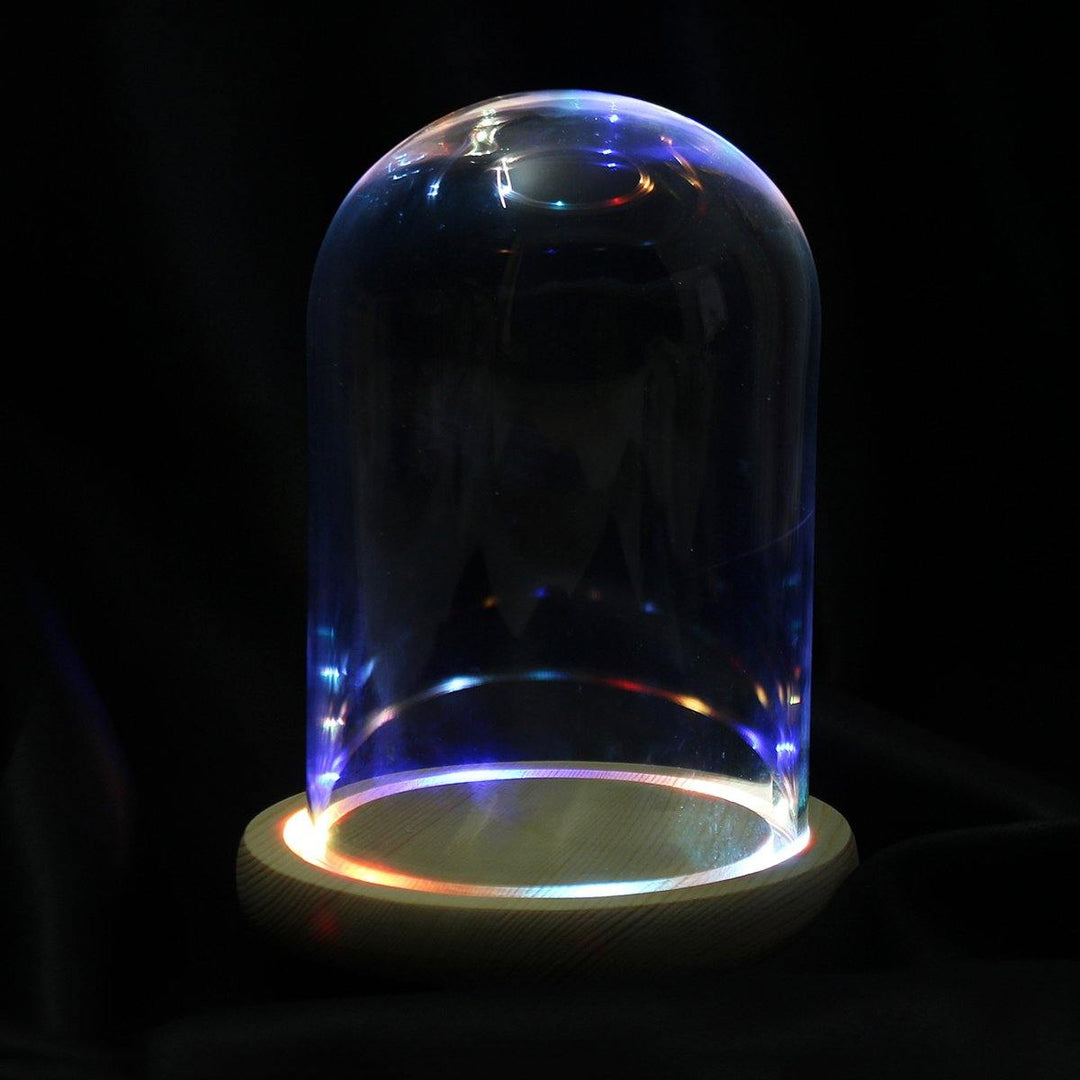 Clear Glass Display Flower Dome Bell Jar Cloche Wooden Base With LED Light Room Decorations - MRSLM