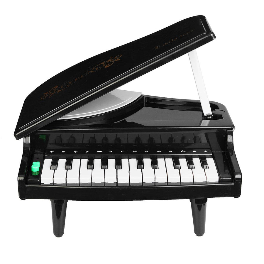 Electric Piano Toy Developmeatal Musical Instruments House Play Percussion Learning - MRSLM
