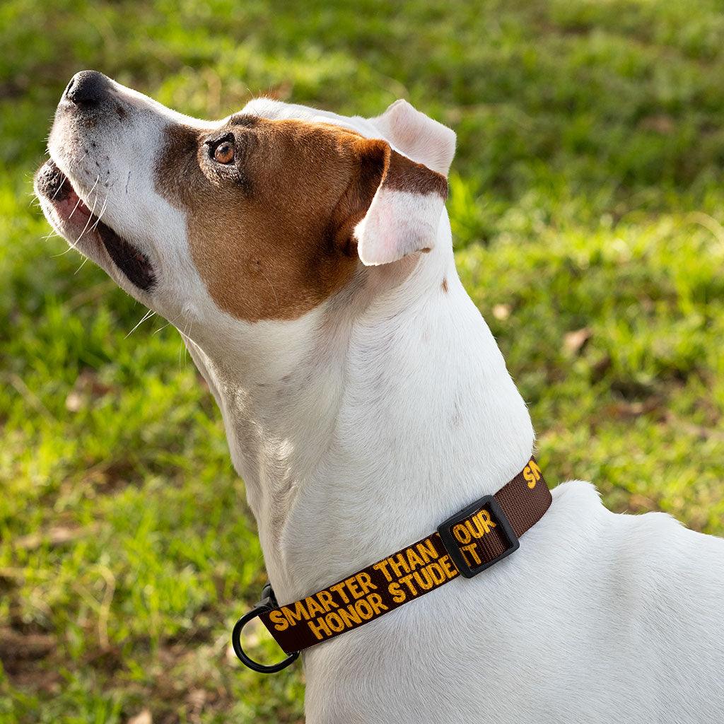 Sarcastic Pet Collar - Funny Dog Collar - Best Design Dog Collar - MRSLM