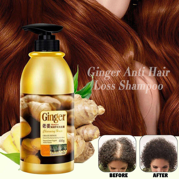 400ML Natural Ginger Oil-Control Shampoo Anti Dandruff Health Hair Care - MRSLM