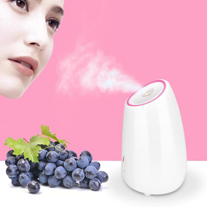 Fruit Vegetable Facial Steamer Household Spa Beauty Instrument Thermal Nano Spray Water Whitening Face Steamer Machine - MRSLM