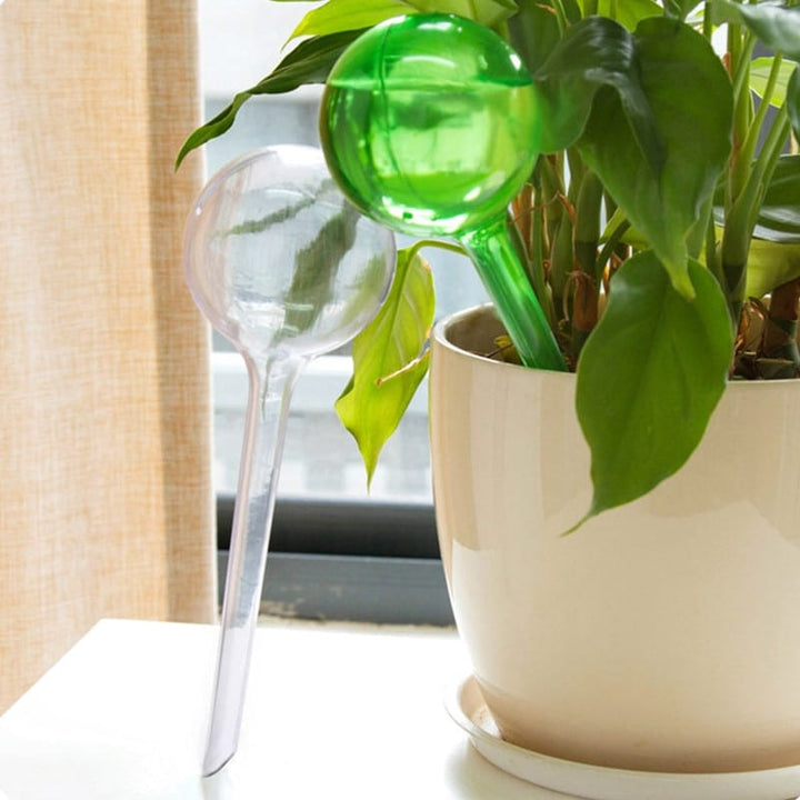 Plant Watering Bulbs