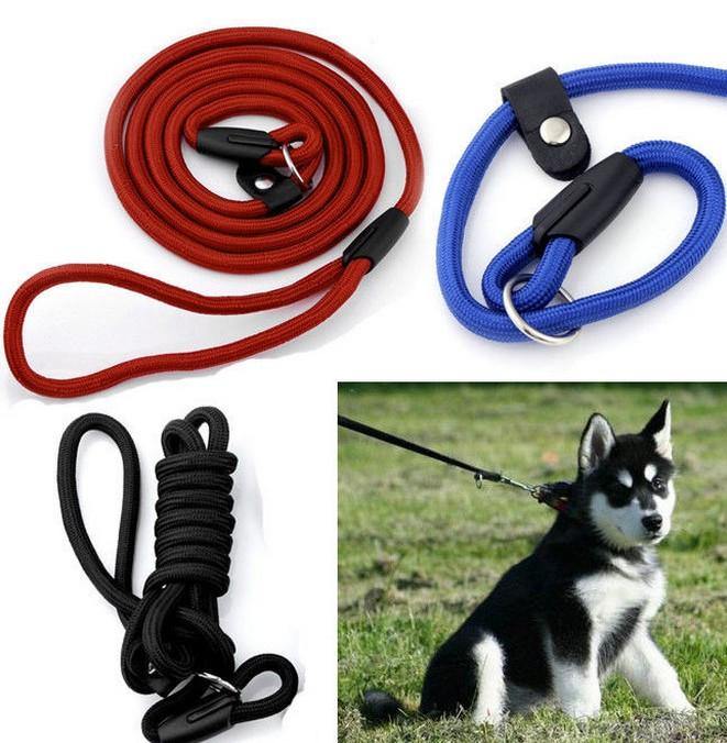 Nylon Rope Pet Dog Slip Training P-Leash Walking Leading Collar - MRSLM