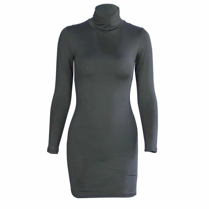 Women's Turtleneck Slim Dress