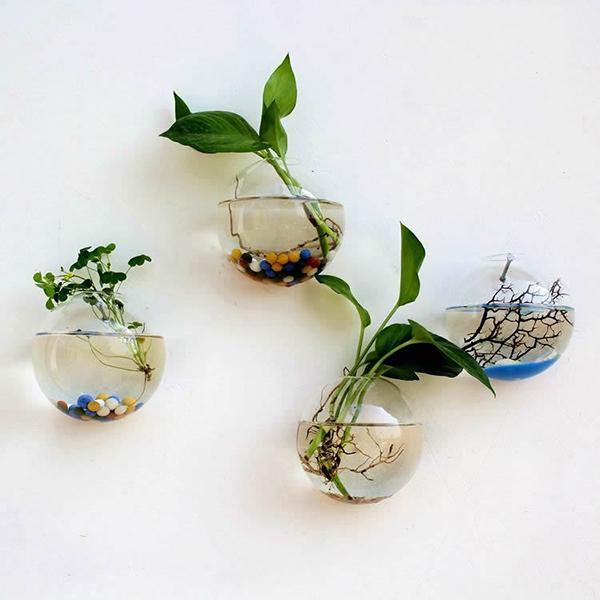 Creative Wall Hanging Transparent Glass Vase Hydroponic Living Room Home Decor - MRSLM