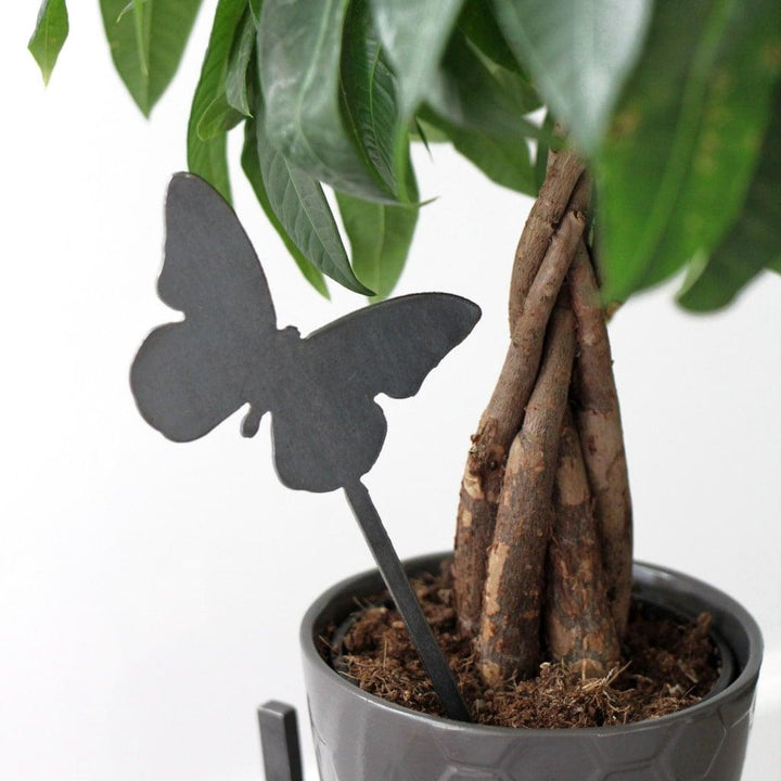 Butterfly Plant Stake - MRSLM