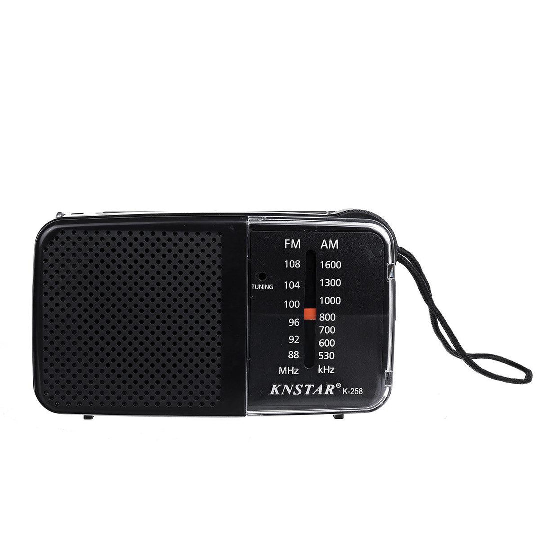 88-108MHz FM 530-1600KHz AM 2 Bands Radio Receiver for Elder (Black) - MRSLM
