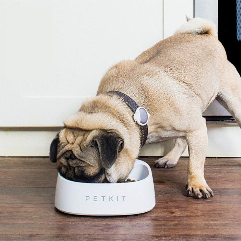 PETKIT Pet Smart Pet Fedding Bowl Automatic Weighing Food Dog Food Bowl Digital Feeding Bowl Stand Dog Feeder Drinking Bowls From - MRSLM