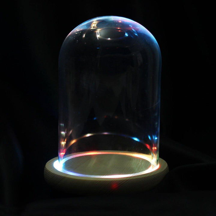 Clear Glass Display Flower Dome Bell Jar Cloche Wooden Base With LED Light Room Decorations - MRSLM